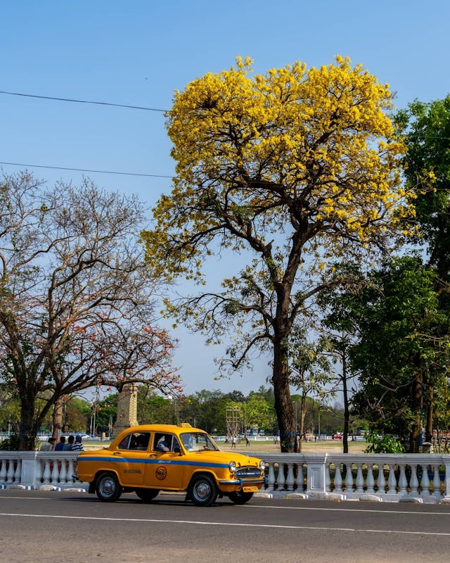 jodhpur taxi service