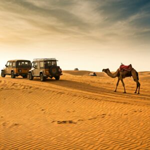 Jeep Safari in Jaisalmer