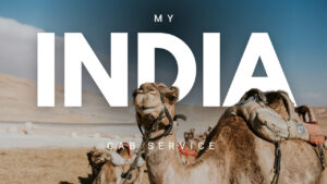 What Is the Best Way to Get Around Jaisalmer?