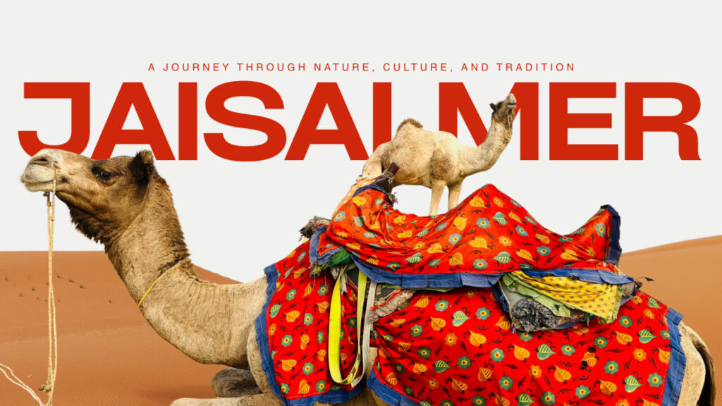 Best Time to Visit Jaisalmer in 2026