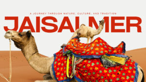 Best Time to Visit Jaisalmer in 2026