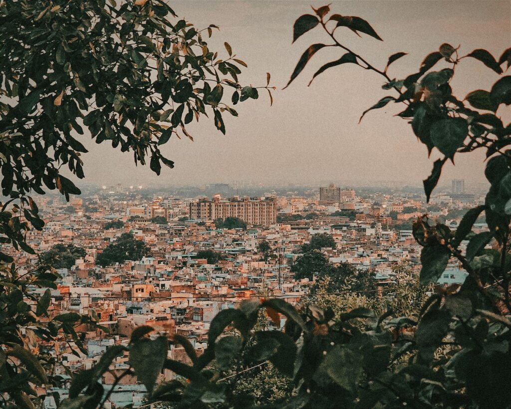 Panoramic view of Jodhpur city framed by lush foliage, showcasing the vibrant buildings and landscape.