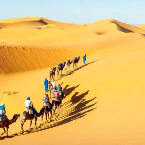 depositphotos_99393262-stock-photo-caravan-with-bedouins-and-camels